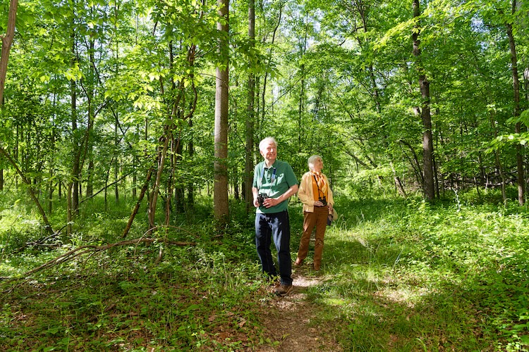 Residents exploring in the forest